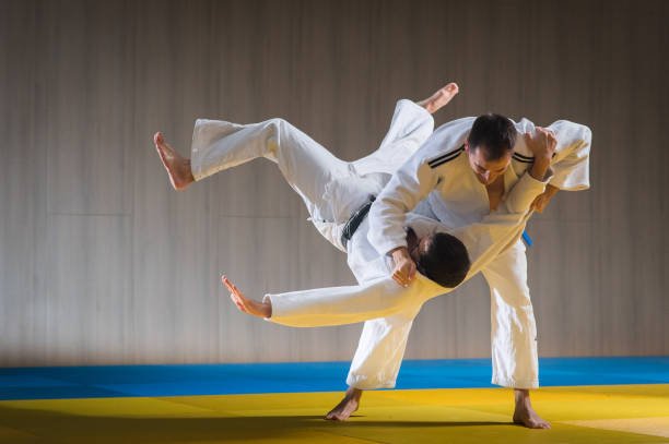 best judo karate training